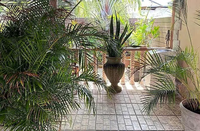 Effies Mountain View Gecko Hotel 3*