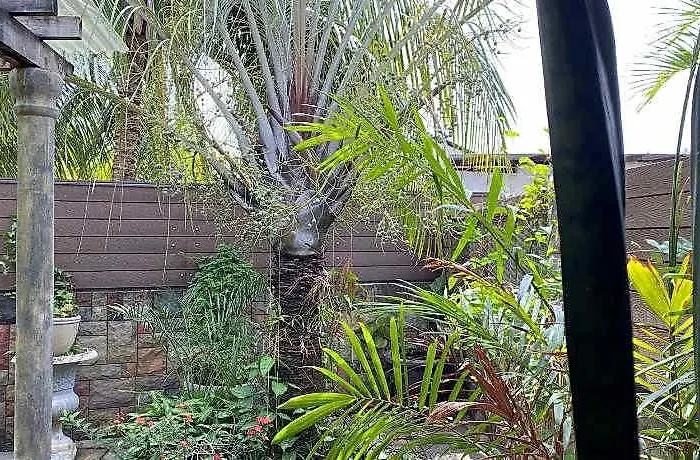 Effies Mountain View Gecko Hotel